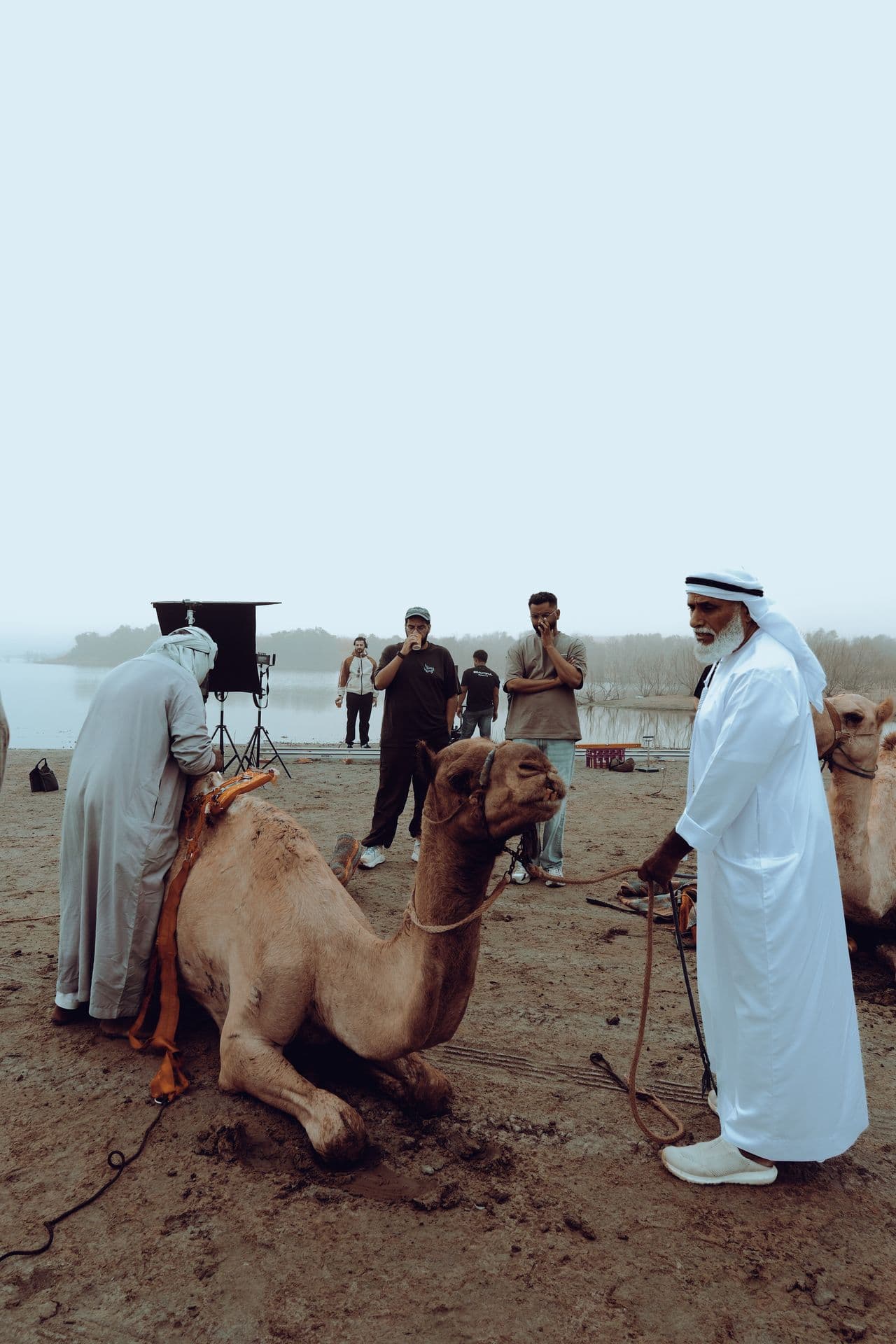 Camels and crew in fog